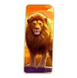 Lion
Safari